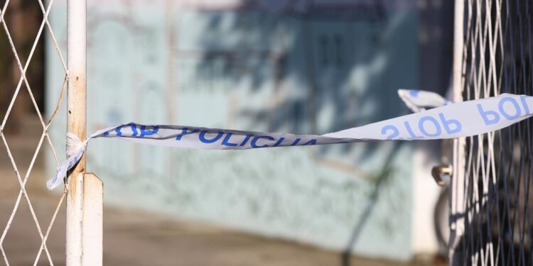 Srušili joj snjegovića, a ona otišla po pištolj i zapucala? Policija pretragom kuće prošla još oružja