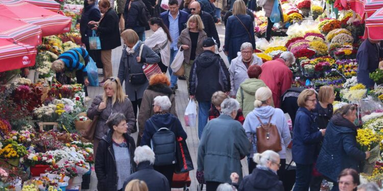 Sve je veći broj samaca. Tko će se o njima brinuti kad ostare? Roboti? Sve je veći broj samaca. Tko će se o njima brinuti kad ostare? Roboti?