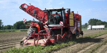 Lokalni OPG-ovci kao baza natječaja za nabavu namirnica školama