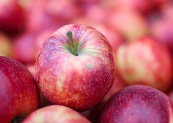 Zabrinjavajući rezultati istraživanja: 85 posto jabuka u Europi sadrži koktel pesticida, Hrvatska među najgorima