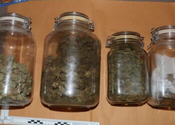 FOTO/VIDEO Velika zapljena droge u Zagrebu: Stan pretvorio u laboratorij, sadio gljive, uzgajao kaktuse…