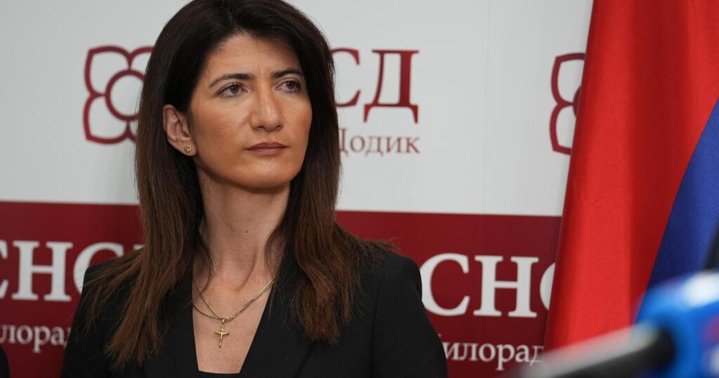 HDZ-ova Darijana Filipović: ‘Navijat ću za reprezentaciju BiH, ogrnuta ovom zastavom’