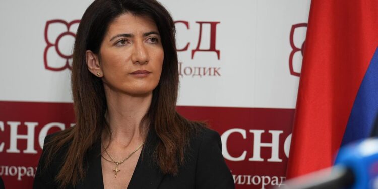 HDZ-ova Darijana Filipović: ‘Navijat ću za reprezentaciju BiH, ogrnuta ovom zastavom’